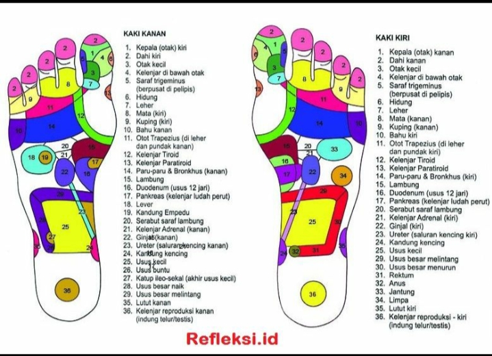 PIJAT URUT REFLEKSI MOH FACHRI FARID, SE.