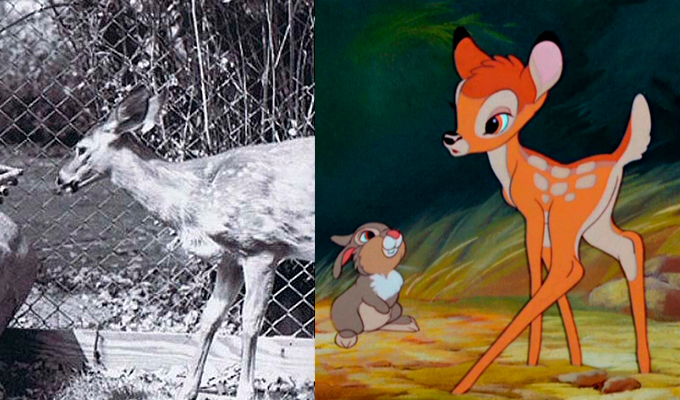 disney character prototype прототипы персонажей дисней disney character prototype прототипы персонажей дисней
