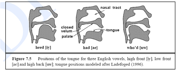 Apeace Cgek: English Phonetic & Phonolgy