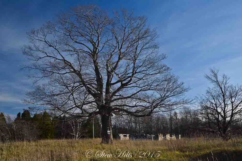 Seasons In The Valley Furry Gnome S Adventures The Old Barn And