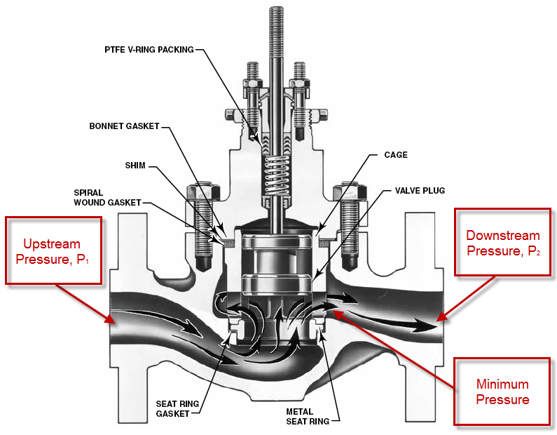 ဒူဒူႀကီး August 2011