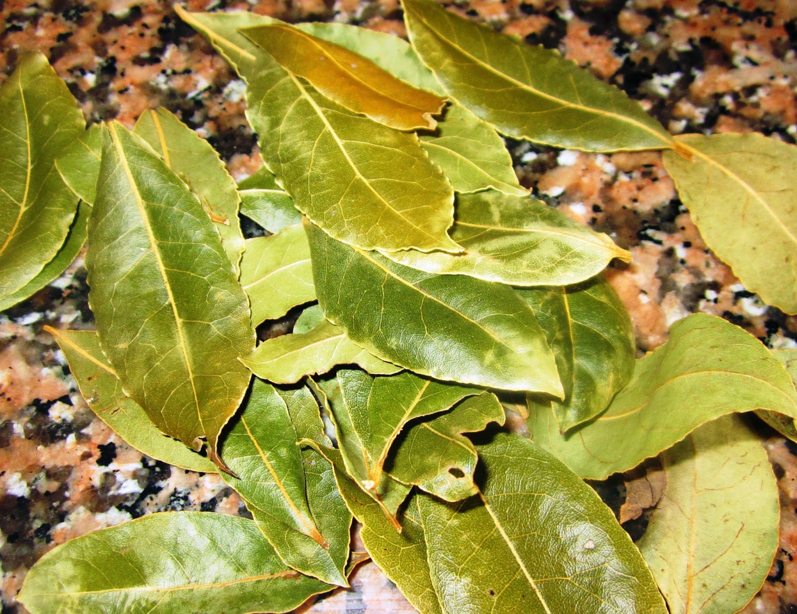 El rincón de Mundín LAS HIERBAS AROMÁTICAS II DE II LAUREL, MENTA
