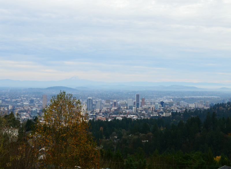 5 Reasons to Visit Portland, Oregon | Organized Mess