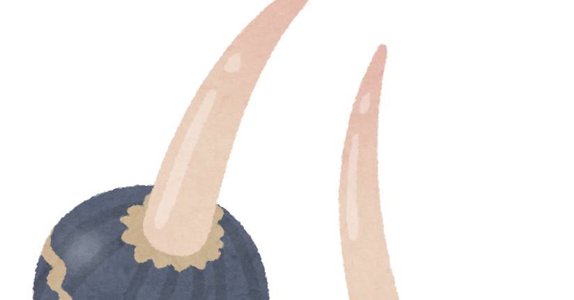 クワイのイラスト かわいいフリー素材集 いらすとや