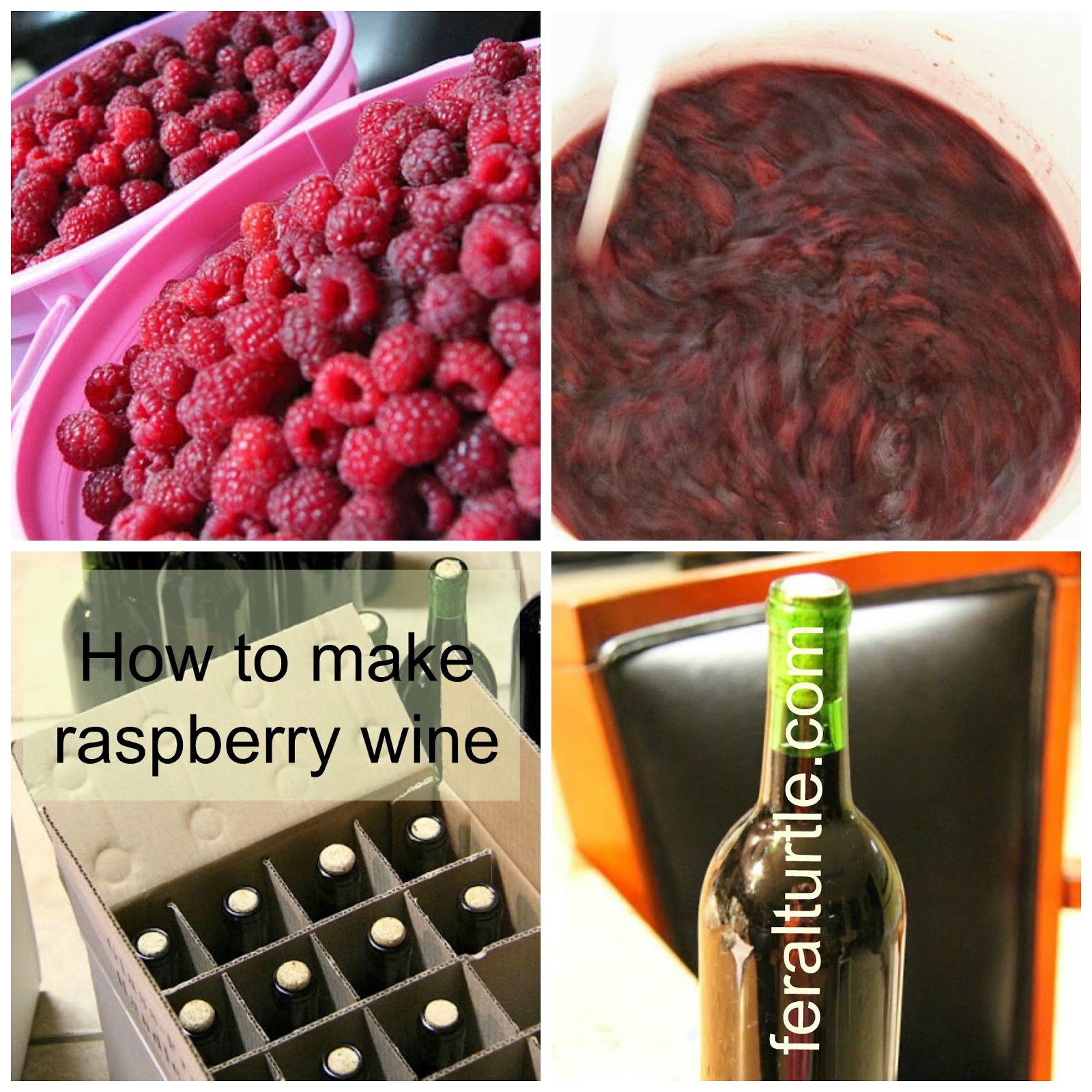 The Feral Turtle Homemade Raspberry Wine