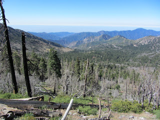 View South from Windy Gap Trail