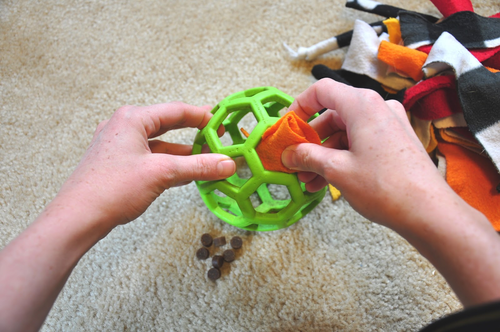 Leopold's Crate Fun activity for dogs who like to "disembowel" their