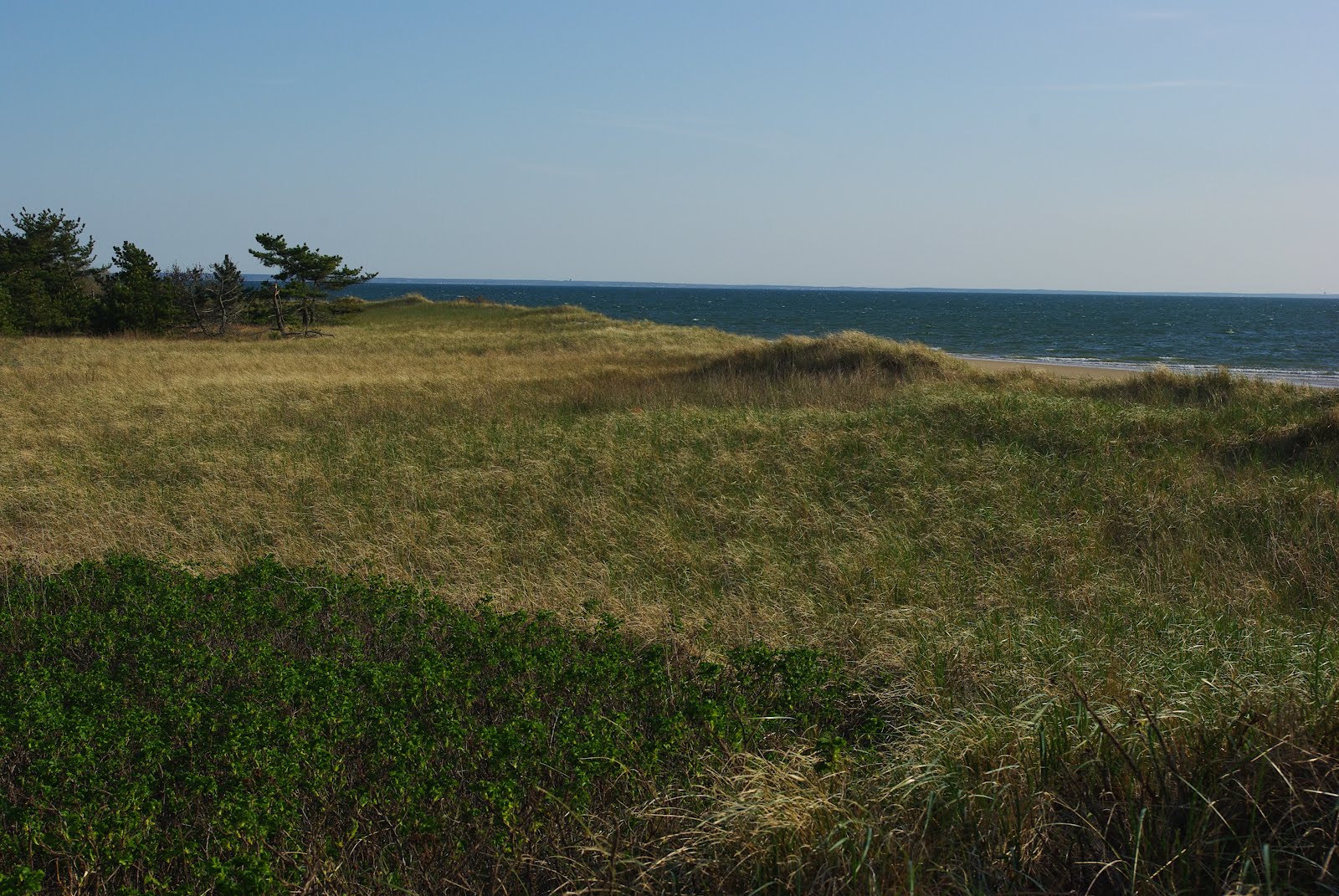 Chezsven Blog Wellfleet Today Exploring Wellfleet