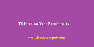 TS Inter 1st Year Results 2017