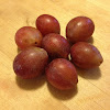 Sugar Plum Fruit Tree - Methley Plum Tree-PLUMET05G - The Home Depot : Check spelling or type a new query.
