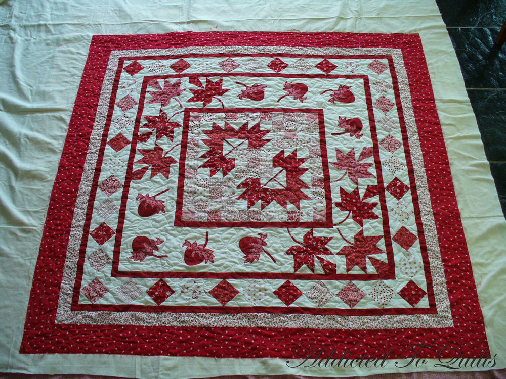 Addicted To Quilts Australia Canada Quilt