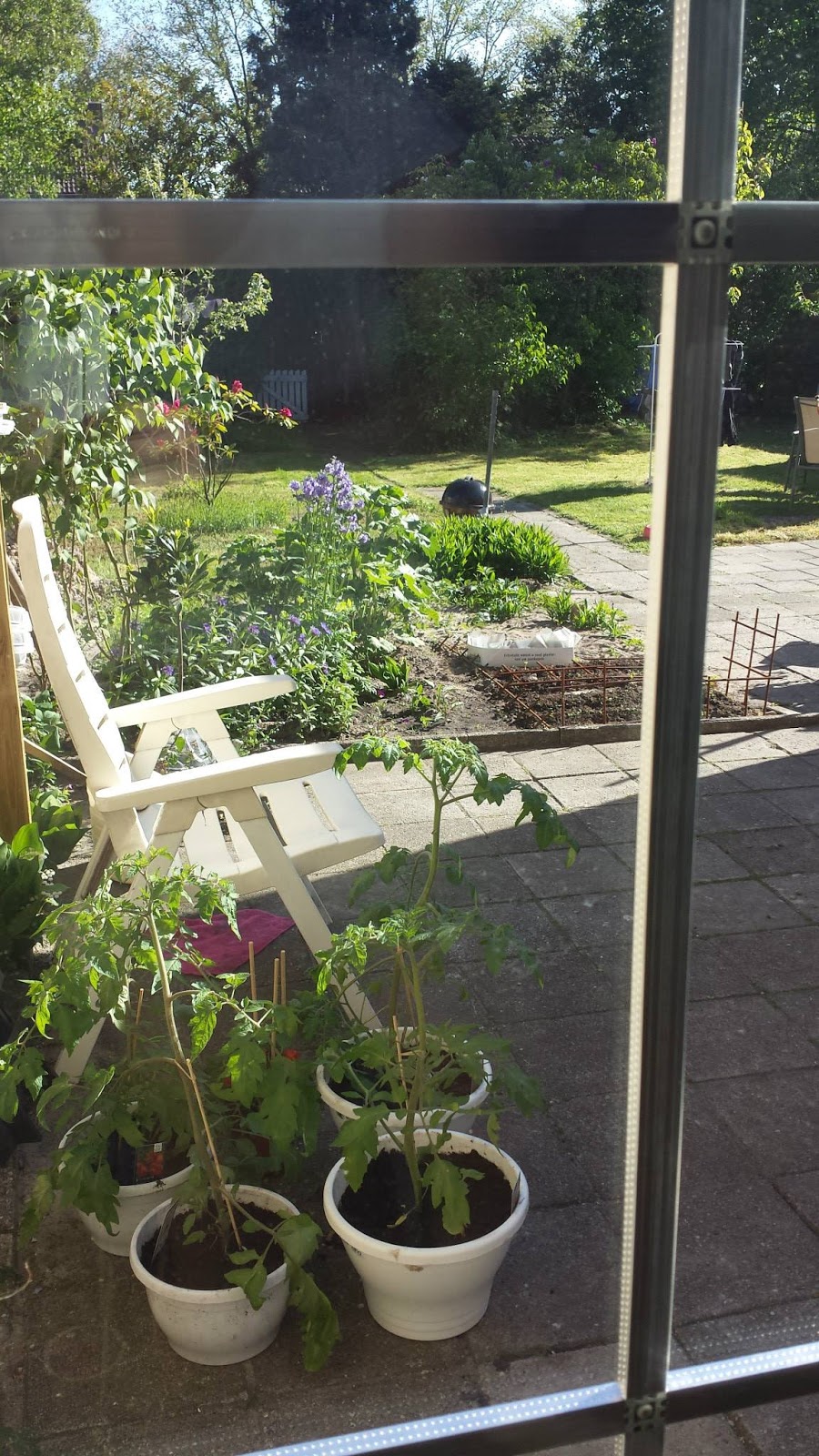 Mijn eetbare tuin project permacultuur