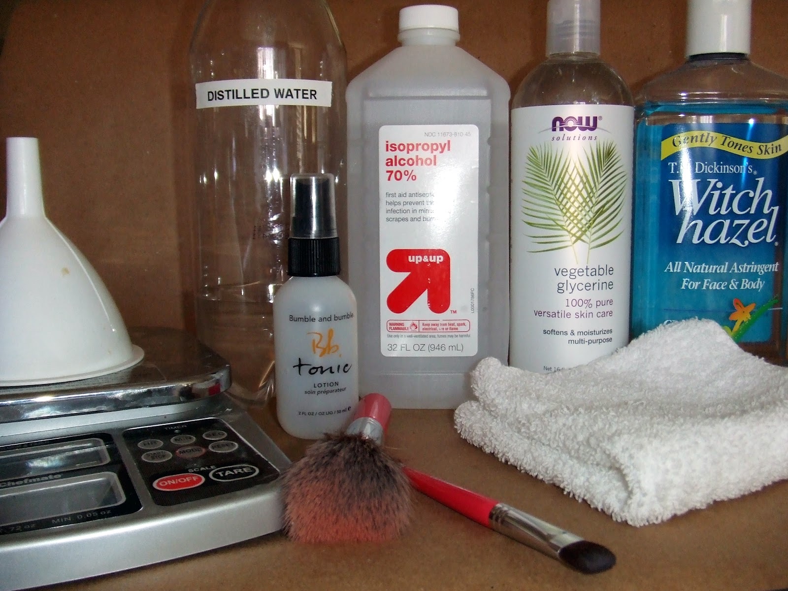 DIY Daily Brush Cleaner Pretty Girl Science