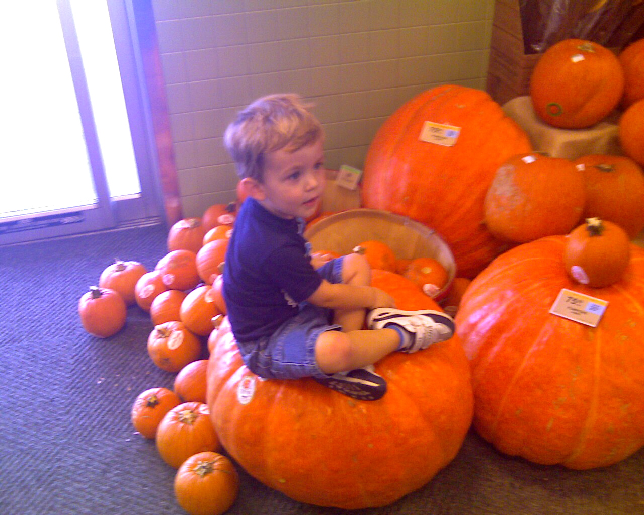 The Smith Family Pumpkins at Publix!