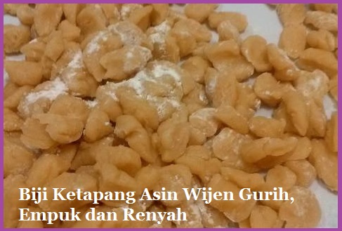 Resep Kue Biji Ketapang Asin Gurih