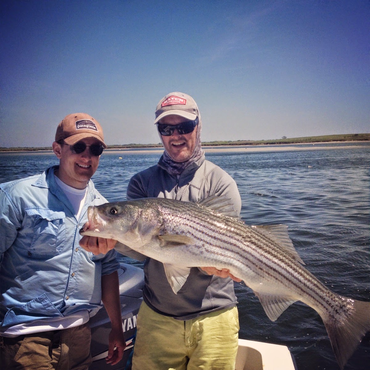 Boston Fly Fishing and Report The Striped Bass of Plum Island
