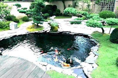 55 inspirasi desain kolam ikan minimalis di halaman