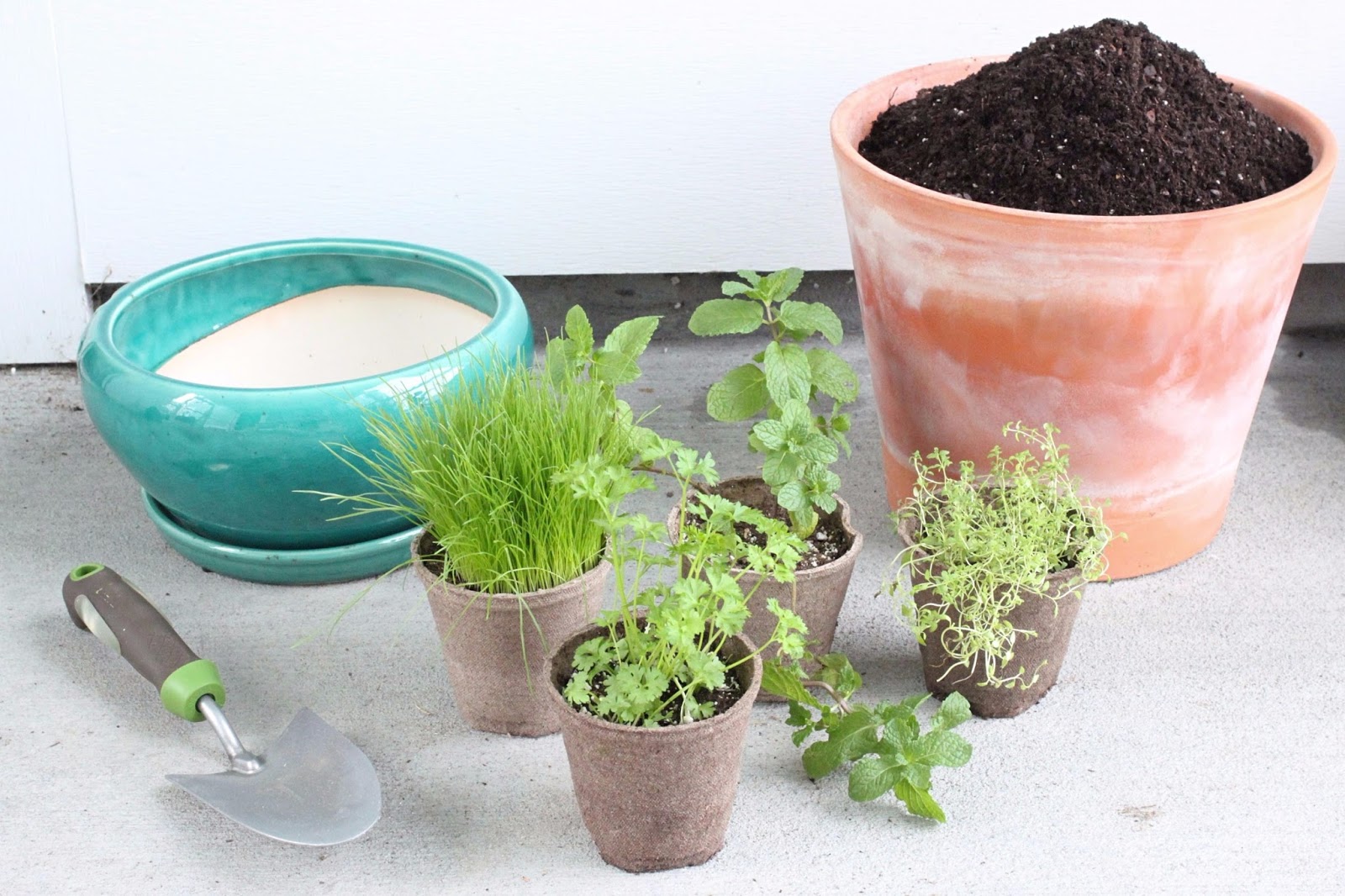 borrowed heaven DIY Indoor Cat Garden