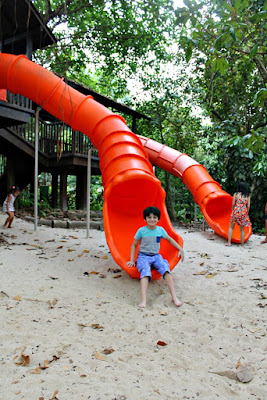 Treehouse slide at Jacob Ballas Children's Garden