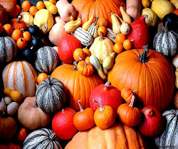 pumpkin desktop iphone backgrounds computer wallpapers variee novembre halloween jack lismary cottage