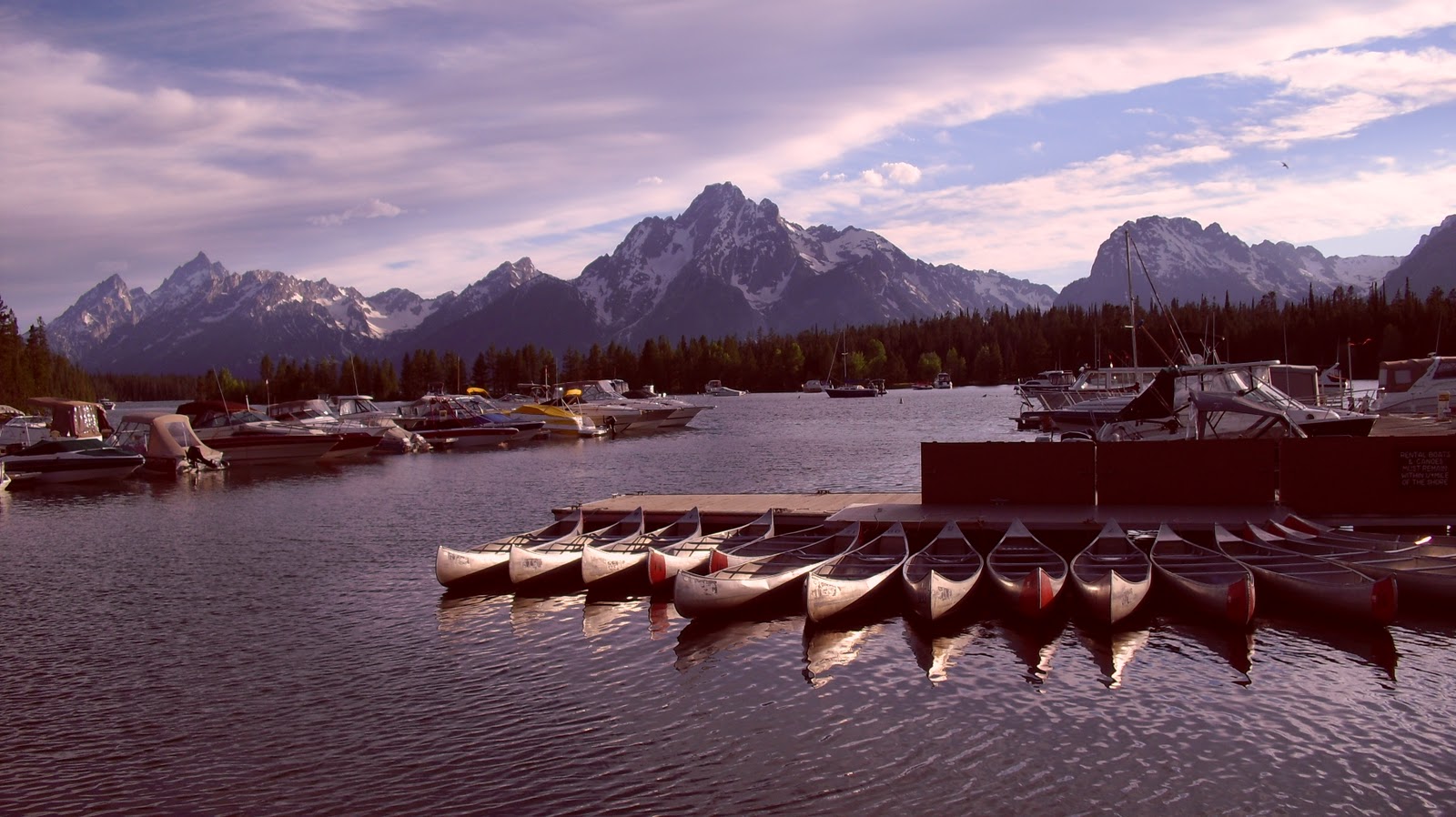 ... from the Fit: Day 4: Jackson Hole, WY to Yellowstone National Park