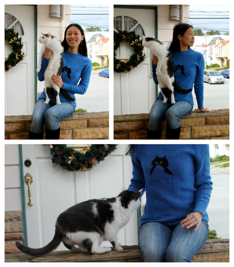 Cation Designs 3D Cat Eyes Sweater