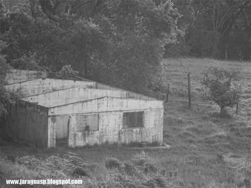 Ruínas de uma construção nas imediações do Pico do Jaraguá utilizada na década de 1990 para criação de animais Ruínas de uma construção nas imediações do Pico do Jaraguá utilizada na década de 1990 para criação de animais