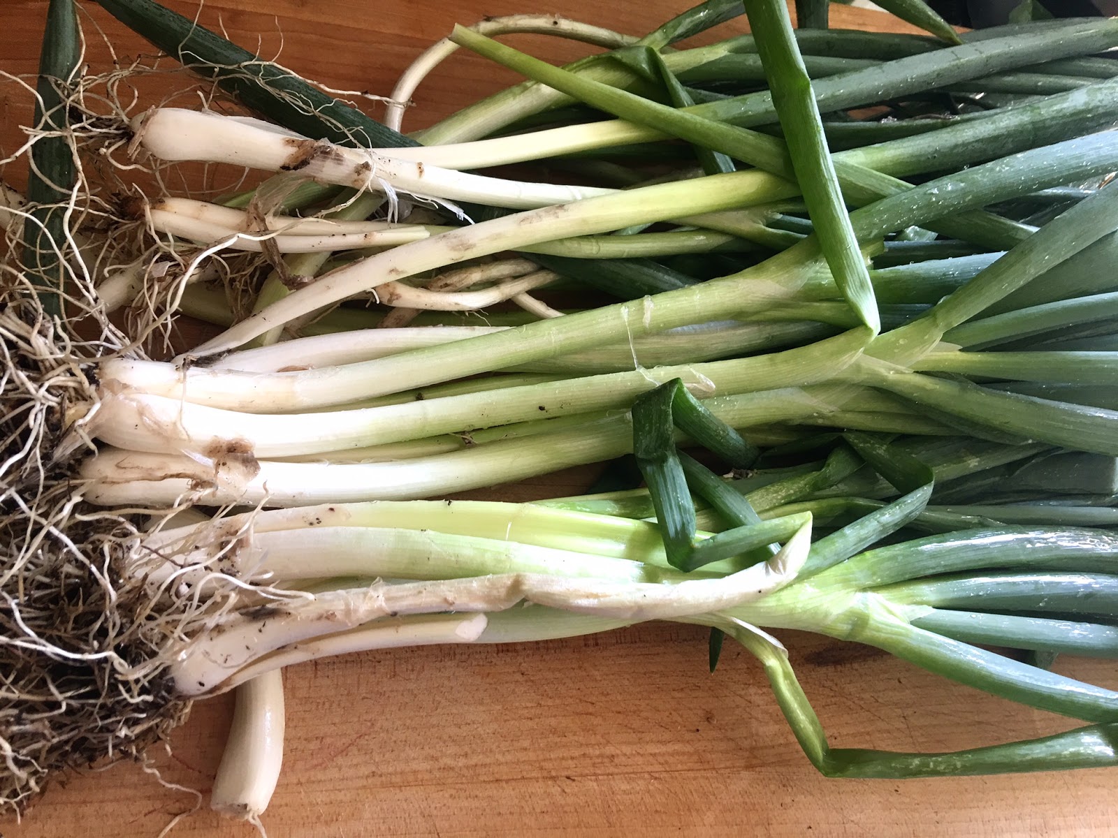 To Market, To Market with San Diego Foodstuff Chilled Spinach and