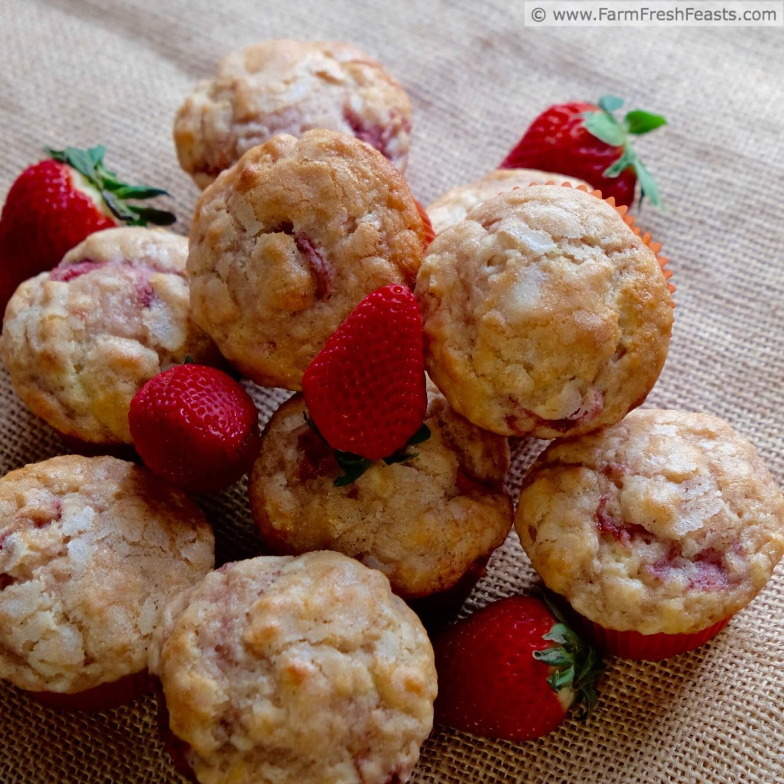 Farm Fresh Feasts Strawberry Vanilla Muffins {Muffin Monday}