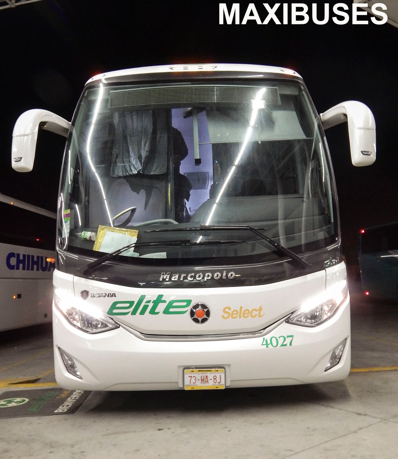 MAXIBUSES ELITE SELECT NUEVAS UNIDADES