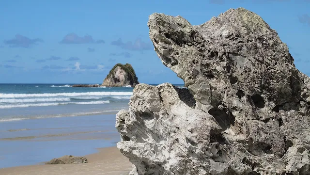 Rocks on the beach at Mangawhai Heads on the drive from Auckland to Paihia in the Bay of Islands New Zealand