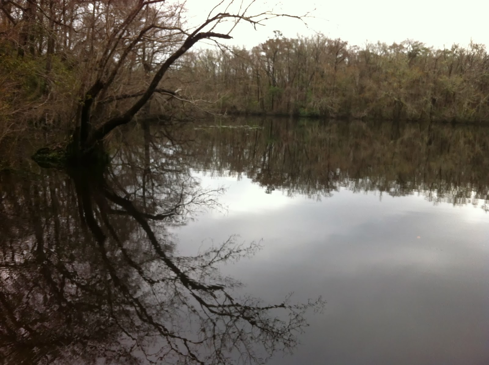 Our Fantastic Falcon Voyage Wood Lake Hunt Camp, Apalachicola National