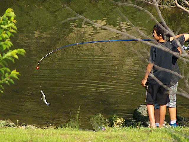 children, fishing, pole, fish,river