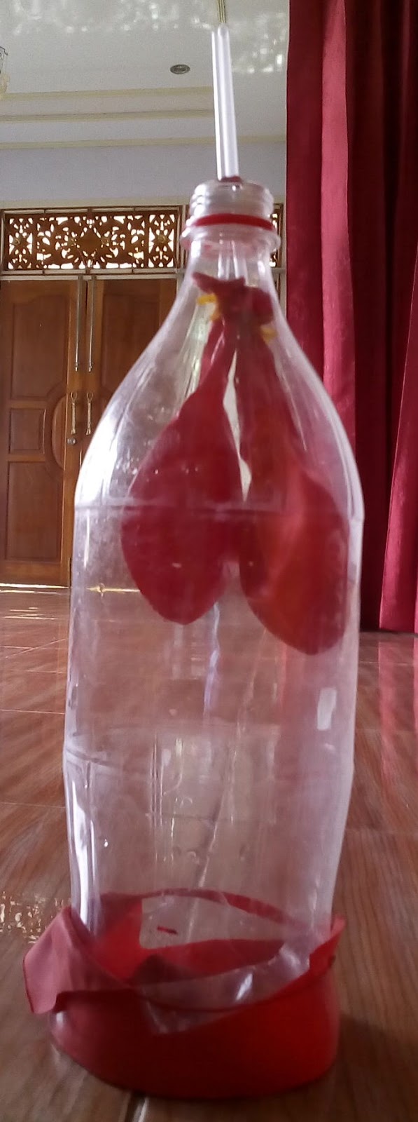 Alat Peraga Sistem Pernapasan Pada Manusia - Homecare24