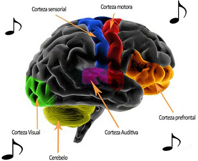 Influence de la musique sur le développement social, émotionnel et