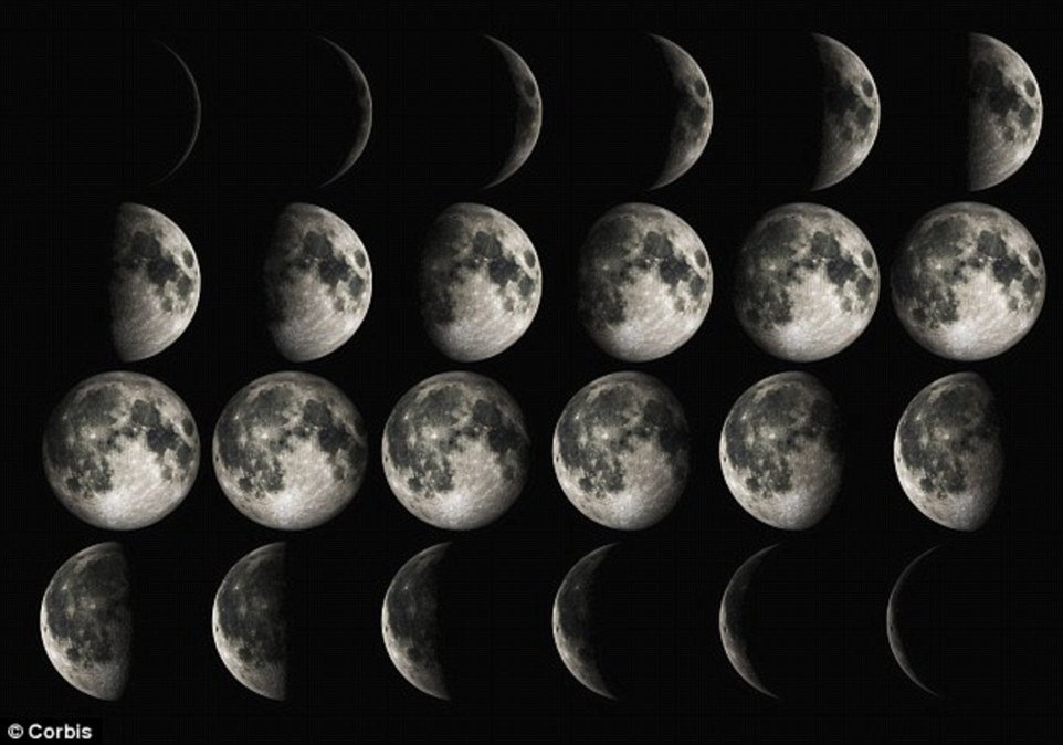 VerOrizzonte Il Dilemma Lunatico verorizzonte-il-dilemma-lunatico