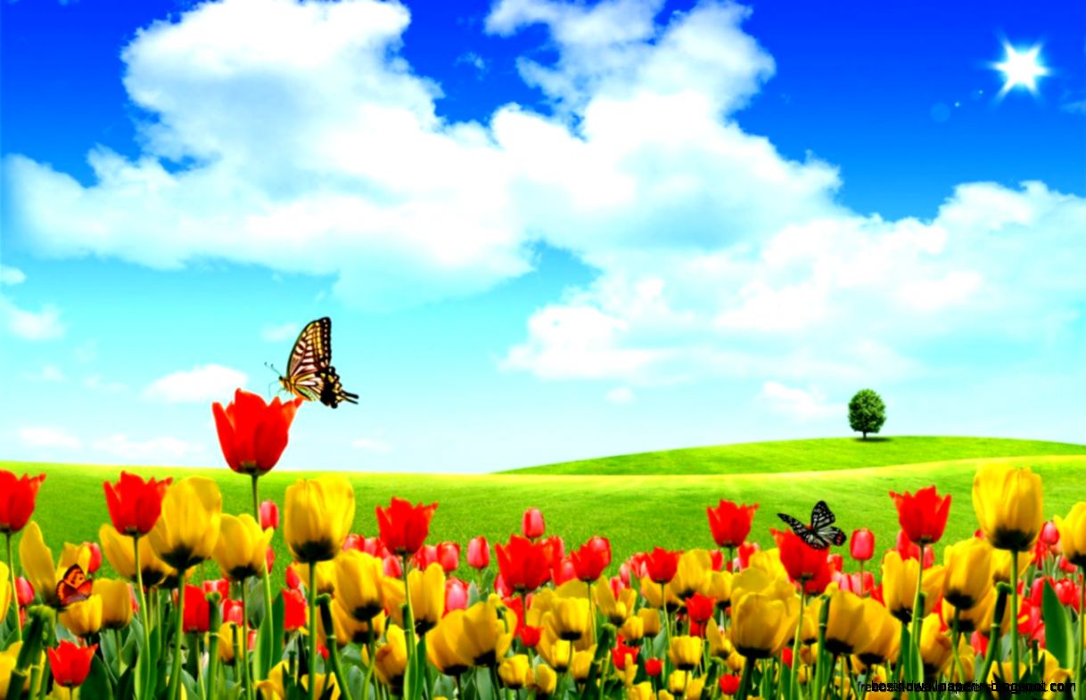 Spring Screen Wallpaper  Best Wallpaper Background