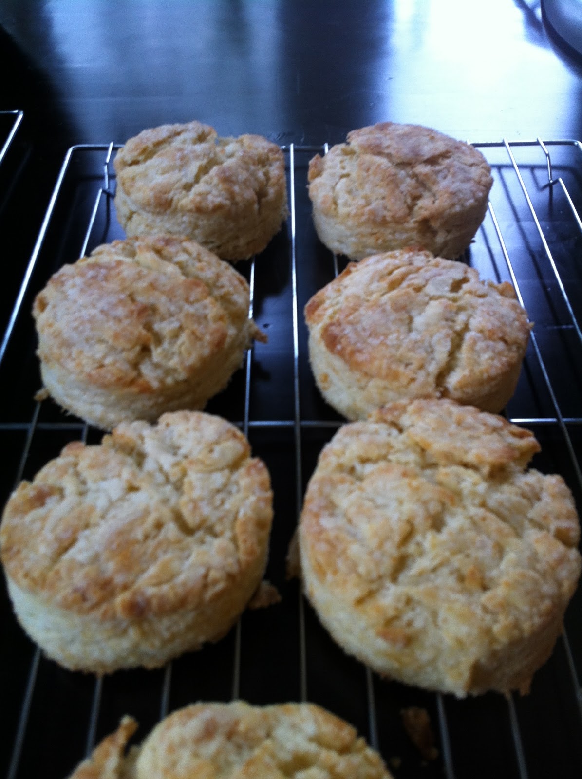 Jennaration Baked Recipe 32 Malted Buttermilk Biscuits