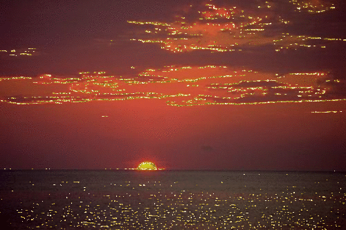 pattyepattichiari Buonasera a tutti jpg (500x333)