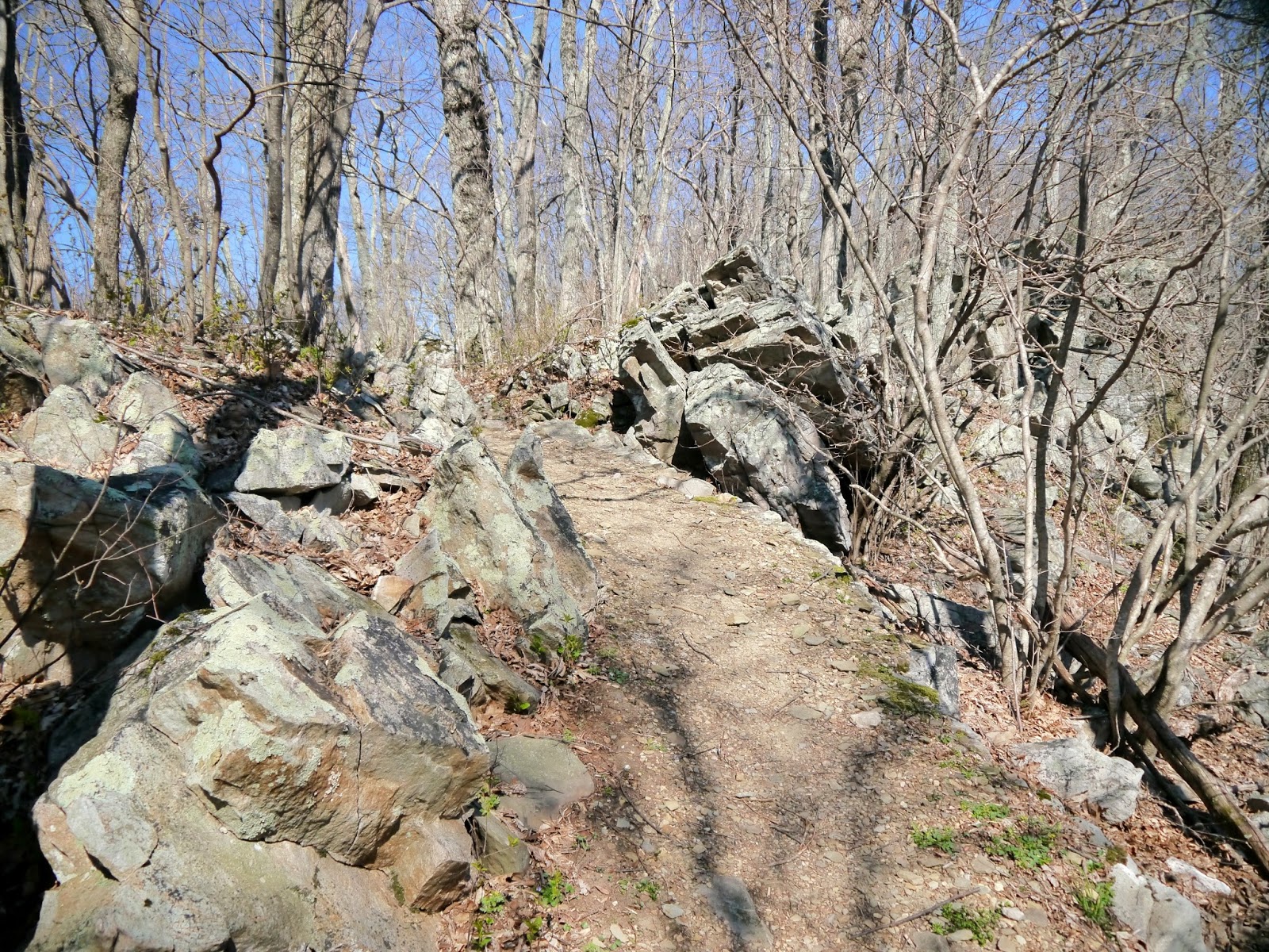 American Travel Journal Browns Gap to Doyles River Cabin Trailhead