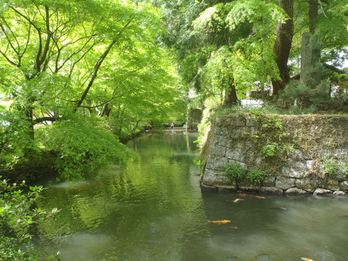 Matsudaira-go, Aichi