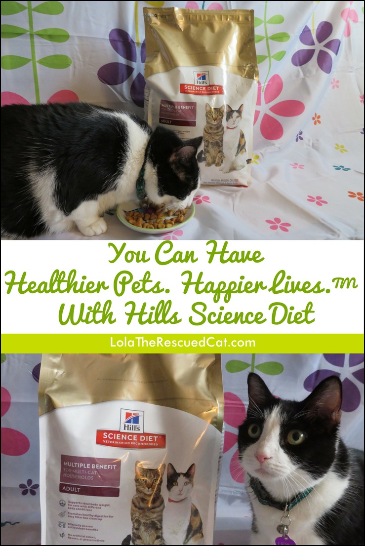 Healthier Pets. Happier Lives.™ with Hills Science Diet HillsTransformingLives Lola The