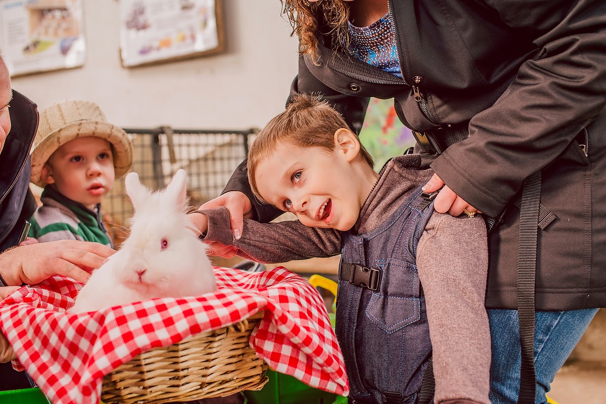 Noah's Miracle Noah's Ark The Petting Zoo in Ireland