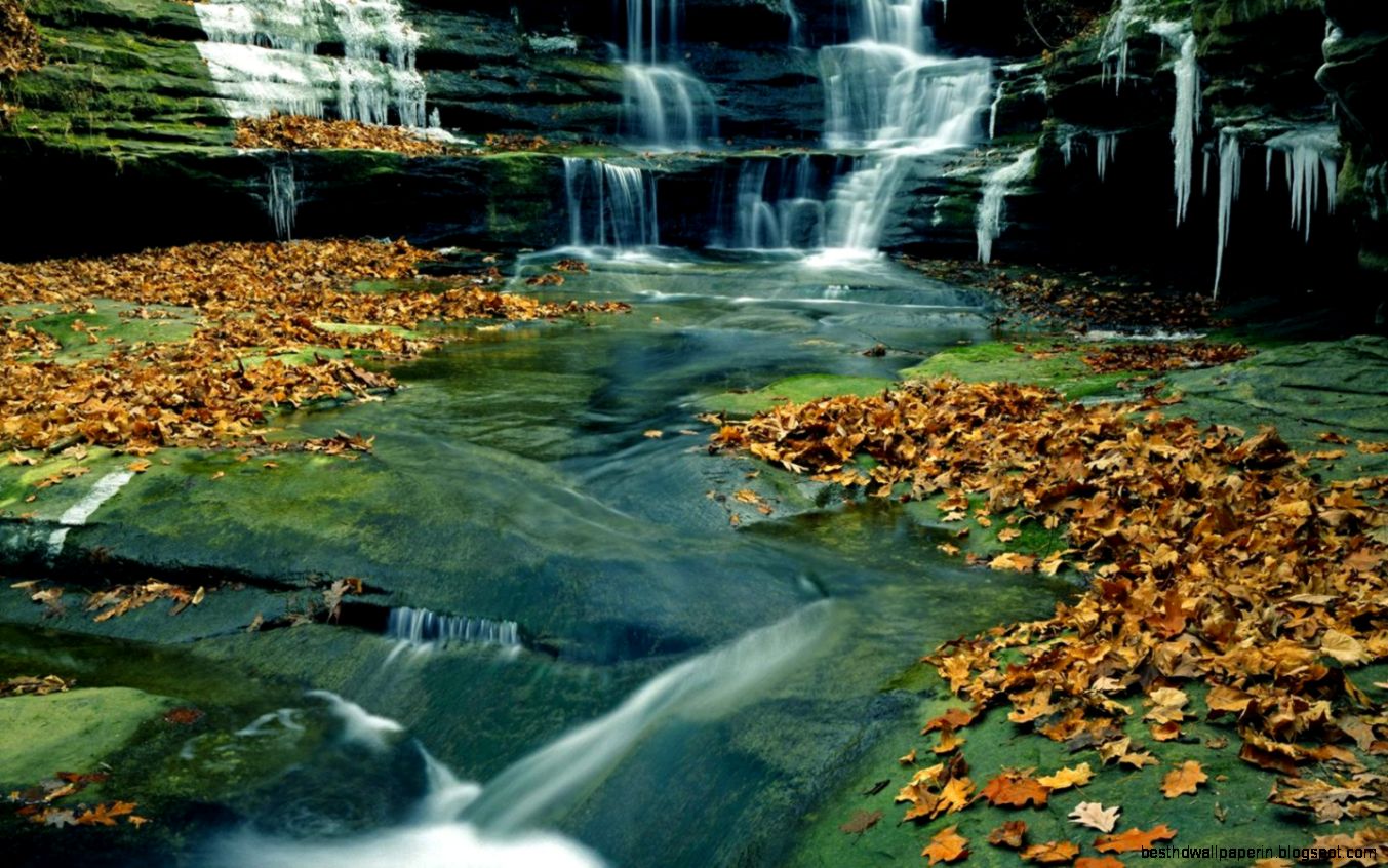 Nature Screensavers Related Keywords  Suggestions   Nature