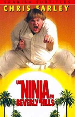 Un ninja en Beverly Hills (ninja blanco) (1997) Online latino