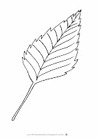 liść brzozy szablon