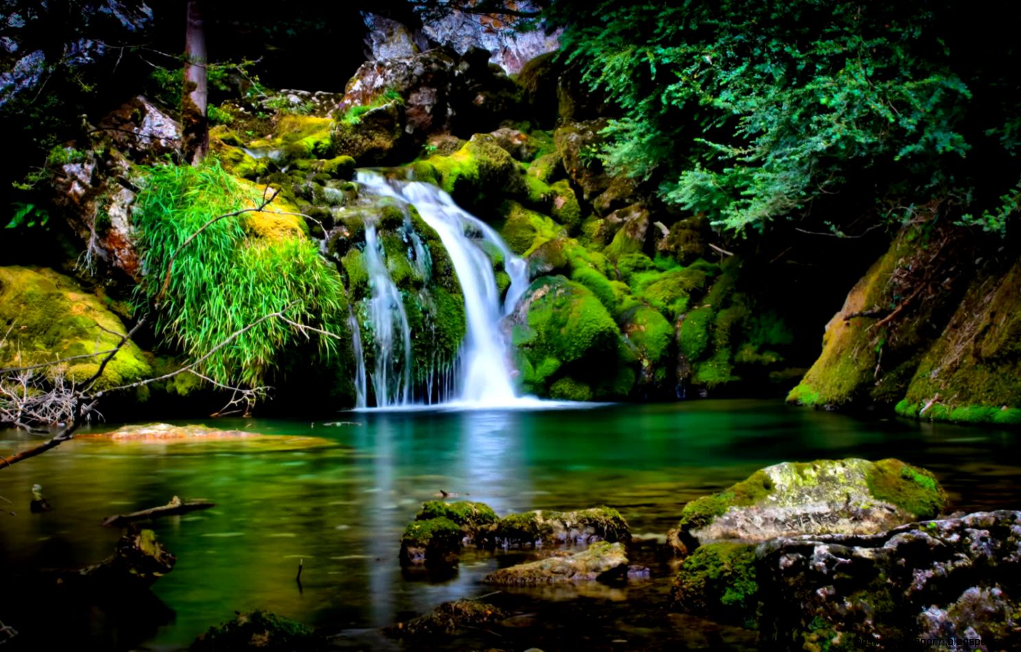 Popular Wallpapers 6883949