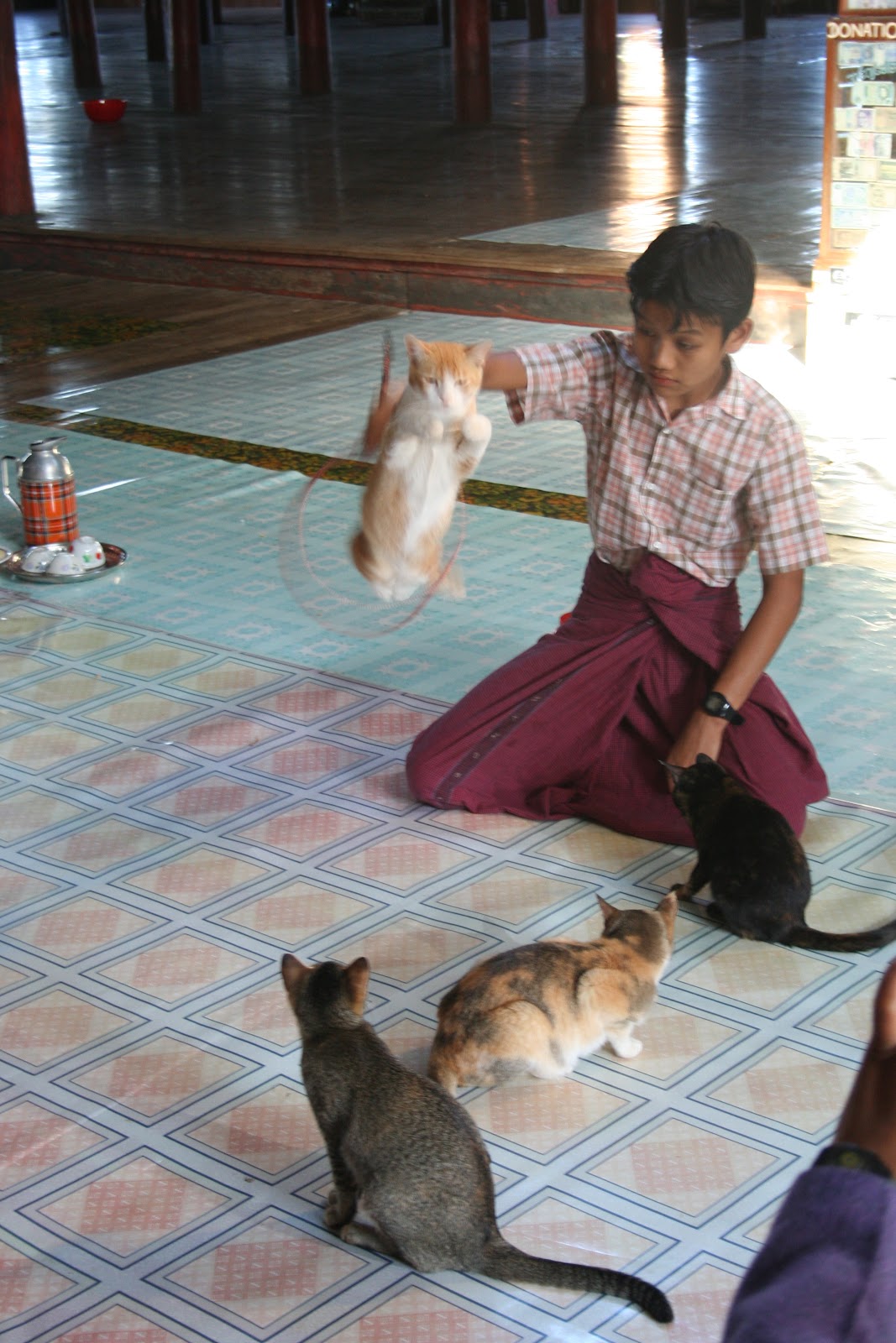 945 Nga Hpe Chaung (Jumping Cat Monastery), Inle Lake, Myanmar (Burma