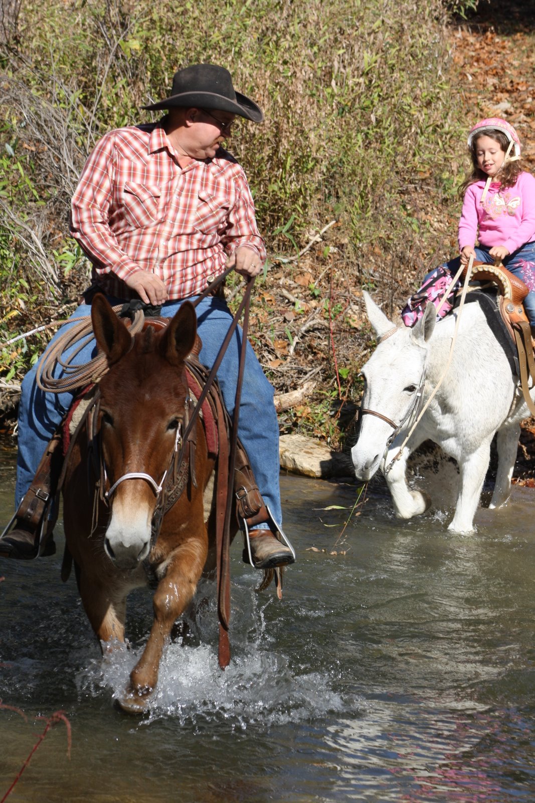 PairADice Mules: Fall Trail Riding