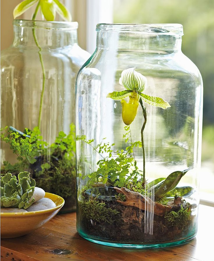 30 Awesome DIY Projects that You’ve Never Heard of - Jar Garden Mini Terrarium